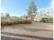 Private backyard with a decorative water feature and mature landscaping creating a tranquil outdoor space at 927 Via Canale Dr, Henderson, NV 89011