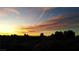 Beautiful sunset view over the horizon with trees silhouetted in the foreground at 9609 Eagle Valley Dr, Las Vegas, NV 89134