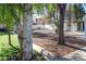 Landscaped backyard with mulch, green grass, and mature trees, ideal for outdoor activities at 1403 5Th Pl, Las Vegas, NV 89104