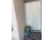 White front door accented with a potted plant at 2132 Fred Brown Dr, Las Vegas, NV 89106