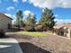 View of backyard including putting green, rock landscaping, perimeter fencing, and mature trees and shrubs at 2608 Dearport Ct, Henderson, NV 89052