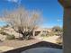 Backyard featuring desert landscaping, a mature tree and a glimpse of the neighboring homes on a clear sunny day at 2608 Dearport Ct, Henderson, NV 89052