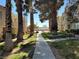 A charming sidewalk in a housing community is lined with trees, green grass and two-story condos at 2679 Jacyra Ave, Las Vegas, NV 89121
