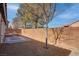 Private backyard with gravel, trees, and patio at 5600 Nimes Ave, Las Vegas, NV 89141