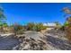 Spacious backyard with gravel and mature landscaping at 5981 Doubletree Rd, Pahrump, NV 89061