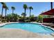 A sparkling community pool with clear blue water, surrounded by lounge chairs and mature palm trees at 7885 W Flamingo Rd # 1037, Las Vegas, NV 89147