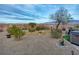 Landscaped backyard with desert plants and mountain views at 1460 Tannery Hts, Mesquite, NV 89034