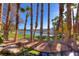 Landscaped water feature with palm trees and lake view at 38 Strada Principale, Henderson, NV 89011