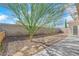 Desert landscaped backyard featuring rock, and minimal planting with a concrete patio extension at 3923 Gramercy Ave, North Las Vegas, NV 89031