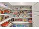 Well-organized pantry with ample shelving for food storage at 9281 Albus Hills Ave, Las Vegas, NV 89143