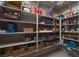 Well-organized pantry with ample shelving for storage at 11885 Grassy Plain Ave, Las Vegas, NV 89138