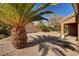 Spacious backyard with palm trees and gravel at 3021 Isaac River Dr, Las Vegas, NV 89134