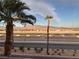 Scenic mountain view from the property, enhanced by palm trees in the foreground at 7732 Hand Woven Ct, Las Vegas, NV 89149