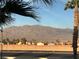 Beautiful mountain view framed by palm trees, overlooking a residential area at 7732 Hand Woven Ct, Las Vegas, NV 89149