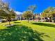 Lush green community space with multiple picnic areas and mature trees providing shade at 10840 Holmfield St, Henderson, NV 89052