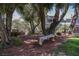 Community seating area with mature trees, offering residents a serene outdoor retreat on a sunny day at 271 Greenbriar Townhouse Way, Las Vegas, NV 89121