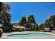 Community pool surrounded by mature trees and lush green lawns, offering a relaxing retreat at 271 Greenbriar Townhouse Way, Las Vegas, NV 89121