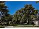 Community pool surrounded by mature trees and lush green lawns, offering a relaxing retreat at 271 Greenbriar Townhouse Way, Las Vegas, NV 89121