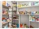 Spacious pantry with shelving to maximize storage at 4410 E Boston Ave, Las Vegas, NV 89104