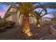 Private backyard with professional landscaping and beautiful mature palm trees adding to the tranquil setting at 4439 Melrose Abbey Pl, Las Vegas, NV 89141