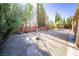Large backyard featuring desert landscaping, tall trees, privacy fence, and playhouse at 5873 Corazon Dr, Las Vegas, NV 89103