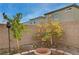 Small backyard with trees, patio, and gazebo at 7675 W Mistral Ave, Las Vegas, NV 89113