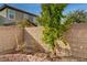 Landscaped backyard with young trees and shrubs at 7675 W Mistral Ave, Las Vegas, NV 89113