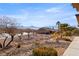 Front yard featuring low maintenance desert landscaping, trees and beautiful mountain views at 1428 Chaparral Dr, Mesquite, NV 89027