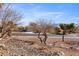 Street view of a desert landscaped neighborhood on a sunny day with blue skies at 1428 Chaparral Dr, Mesquite, NV 89027