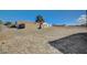 Expansive gravel backyard, partially barren at 2690 S Dandelion St, Pahrump, NV 89048