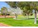 Landscaped golf course with mature trees and winding pathways at 5105 Kingsbridge Dr, Las Vegas, NV 89130