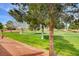Golf course view from behind trees at 5105 Kingsbridge Dr, Las Vegas, NV 89130