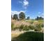 Picturesque view of the golf course, showcasing lush greens and mature trees at 6914 Emerald Springs Ln, Las Vegas, NV 89113