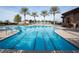 Community swimming pool with palm trees and lounge chairs at 2920 Josephine Dr, Henderson, NV 89044