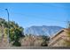 Mountain view from the backyard at 7969 Gorgas Ct, Las Vegas, NV 89129