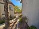 Apartment building walkway with desert landscaping and trees at 8309 Cherry Glaze Ave # 201, Las Vegas, NV 89145