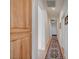 Hallway with hardwood floors and a detailed runner, with storage cabinets on the left at 9843 Wonderful Day Dr, Las Vegas, NV 89148