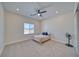 Cozy bedroom with carpet, ceiling fan and natural light, creating a warm and inviting atmosphere at 1691 Blackhorn St, Pahrump, NV 89048