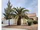 Inviting front exterior showcases a desert-landscaped yard, complete with palm and pine trees at 4610 Cannon Beach St, Las Vegas, NV 89122