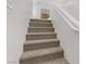 Carpeted staircase leading to the upper level at 4793 Cannon Hill Ct, Las Vegas, NV 89130