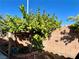 Backyard features a mature tree, gravel landscaping, and a brick wall at 8203 Heather Rock Ct, Las Vegas, NV 89117