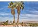 Views of palm trees, rooftops and mountains in the distance at 2133 Linden Tree St, Las Vegas, NV 89156