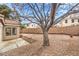 Large backyard featuring desert landscaping, a mature tree, and a concrete patio at 2153 Hookcross Cir, Henderson, NV 89074