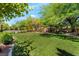 Beautiful backyard with green grass and manicured landscape with pool in background at 306 Treehouse Ct, Henderson, NV 89012