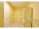 Walk-in closet featuring wire shelving on yellow walls with view of closet door at 6086 Shadow Oak Dr, North Las Vegas, NV 89031