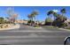 Scenic street view of a residential area featuring palm trees, landscaping, and well-maintained surroundings at 2764 Leys Burnett Ave, Henderson, NV 89044