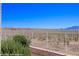 Desert landscape view from the backyard with a sturdy metal fence and rock landscaping at 700 Aztec Cir # 2E, Mesquite, NV 89027