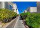 Landscaped walkway between apartment buildings at 1800 Edmond St # 252, Las Vegas, NV 89146