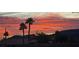 A stunning view of the sunset framed by palm trees over the rooftop at 286 Fairmeadow St, Henderson, NV 89012