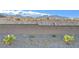 Desert backyard featuring a block wall, gravel, and native plants with a mountain view in the background at 4499 Amazing View St, Las Vegas, NV 89129